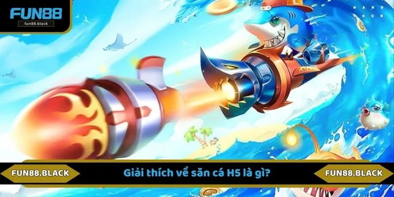Giải thích về săn cá H5 là gì?