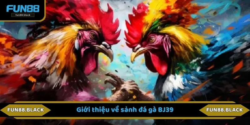 Giới thiệu về sảnh đá gà BJ39