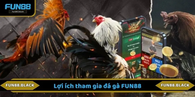 Lợi ích tham gia đá gà FUN88